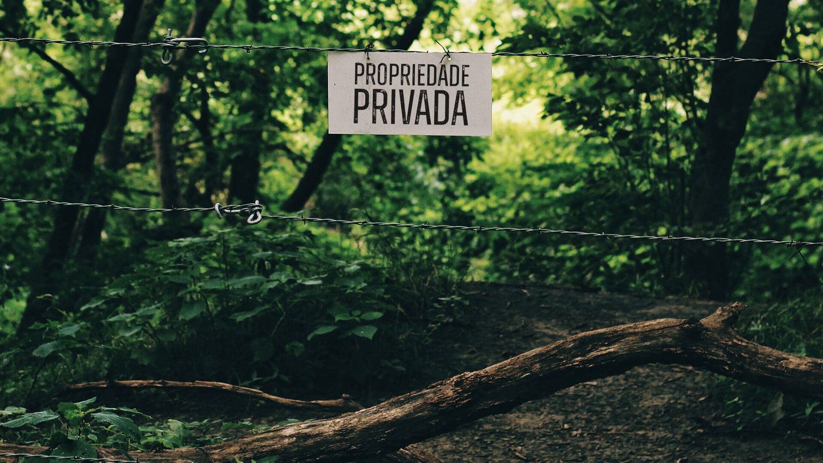Read more about the article Da Propriedade Privada Imobiliária, seus contornos constitucionais e sua múltipla funcionalidade.